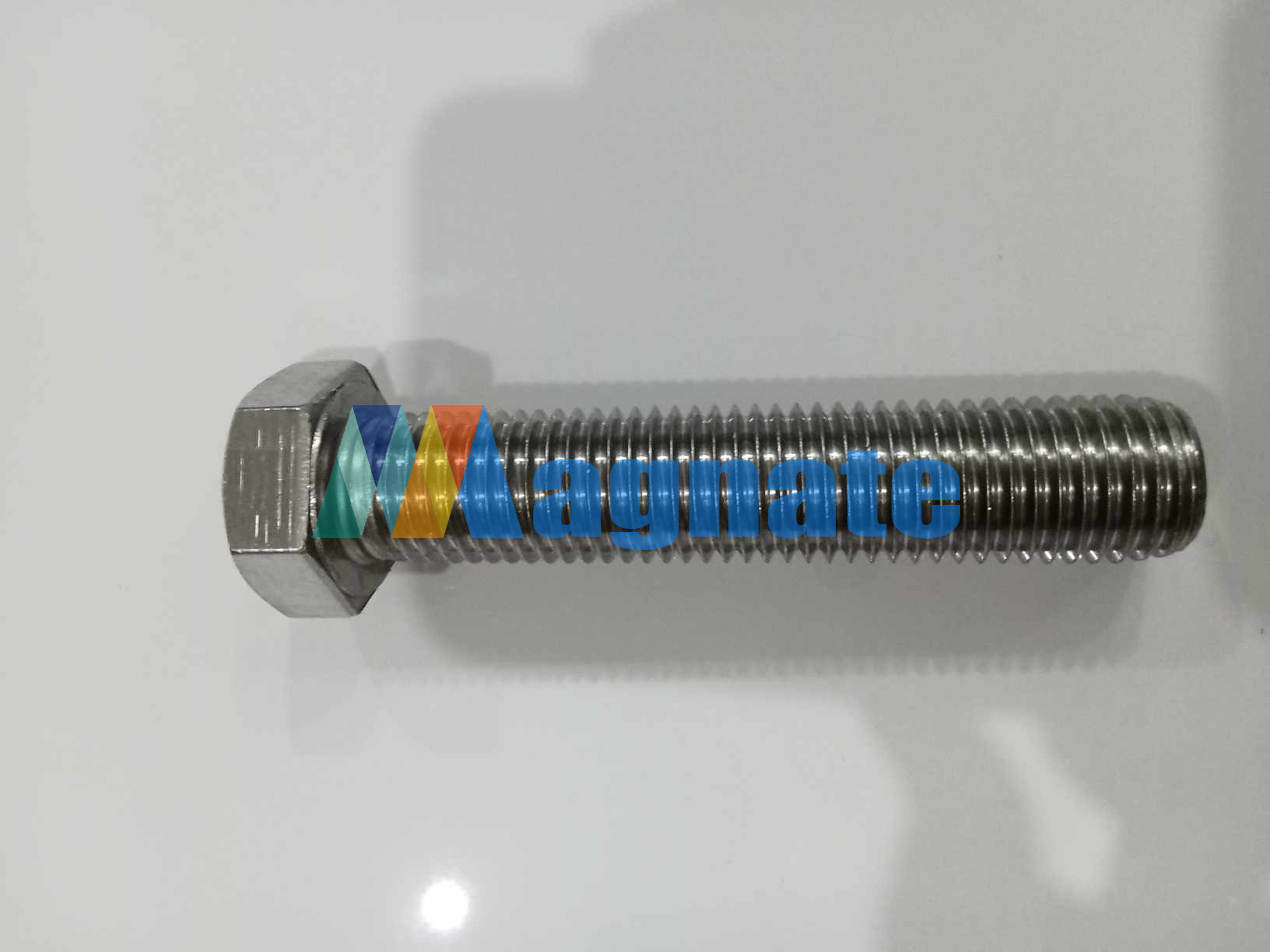 Bolt, Hex M20 x 100 SS304