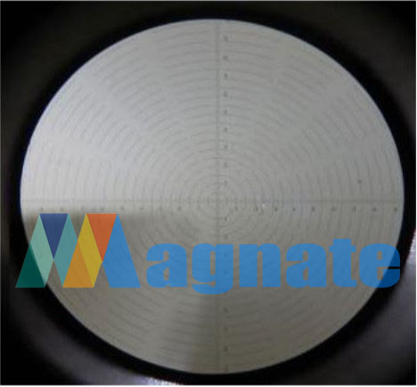 BW Optics Ocular Micrometer Diameter 24mm Concentric Circles